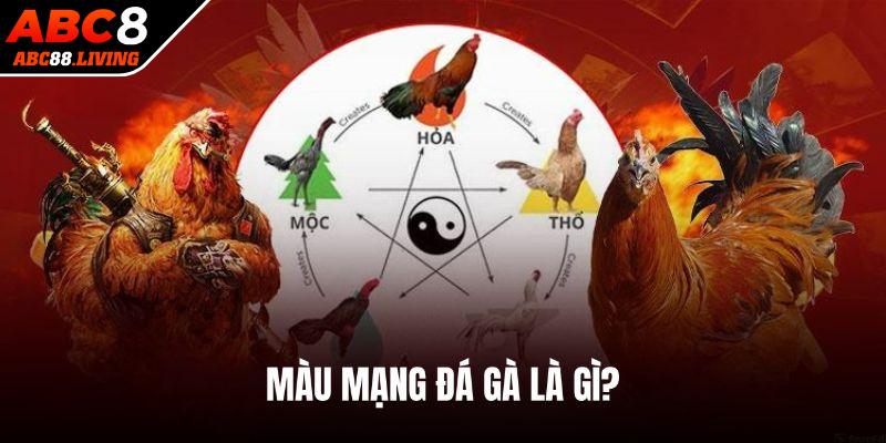 Màu mạng đá gà là yếu tố tâm linh được nhiều người quan tâm
