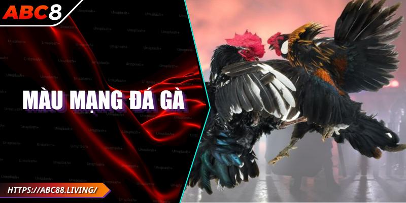 Màu Mạng Đá Gà: Bí Quyết Chọn Gà Mang Đến Chiến Thắng